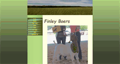 Desktop Screenshot of finleyboers.com